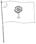 south carolina flag