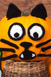 spooky cat pumpkin