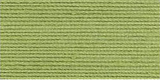 aunt lydias classic crochet wasabi