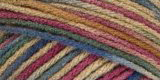 red heart super saver yarn painted desert print