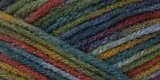 red heart super saver yarn williamsburg print