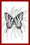 butterfly coloring pages