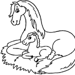 horse coloring page