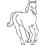 horse coloring page