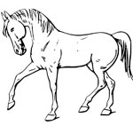 horse coloring page