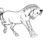 horse coloring page