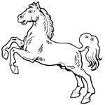 horse coloring page