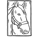 horse coloring page