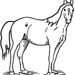 horse coloring page