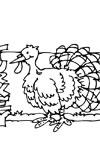 turkey coloring page