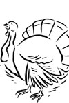 thanksgiving turkey coloring page