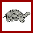 how to draw a turtle