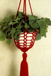 crochet plant hanger