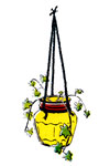hanging vase