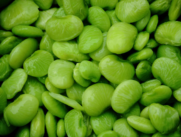 lima beans