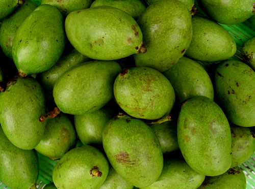 mangos