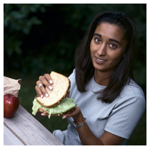 picnic sandwich
