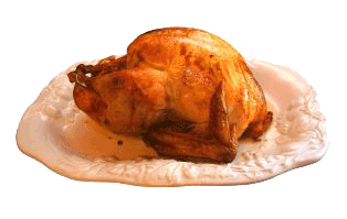 simple roast turkey