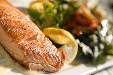 salmon