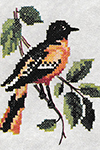 Oriole