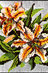 Lily Pattern